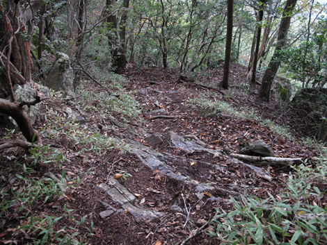 20181009hike (129)